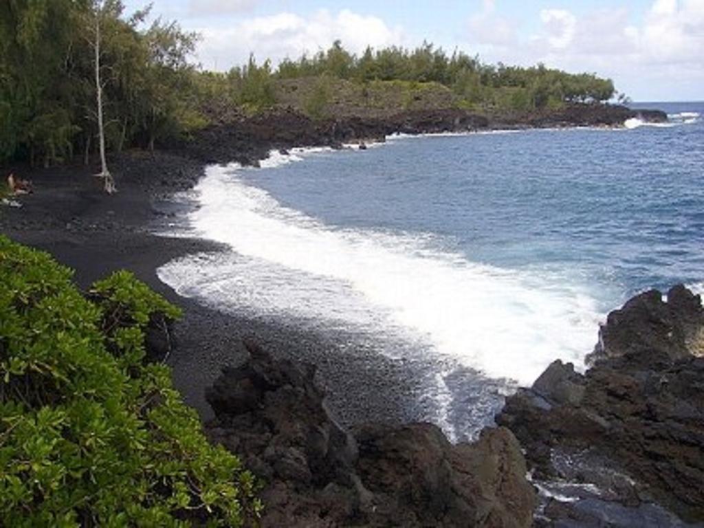 Coconut Palms Vacation Rental Near Lava Fields And Beaches Kehena Екстер'єр фото