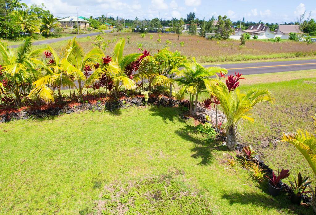 Coconut Palms Vacation Rental Near Lava Fields And Beaches Kehena Екстер'єр фото