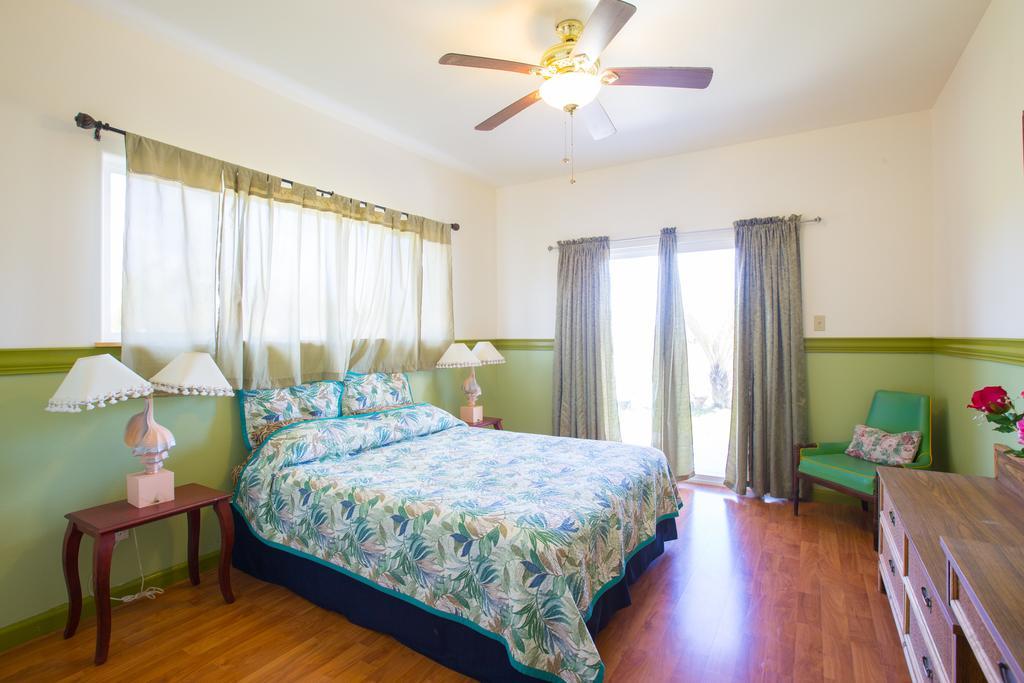 Coconut Palms Vacation Rental Near Lava Fields And Beaches Kehena Екстер'єр фото