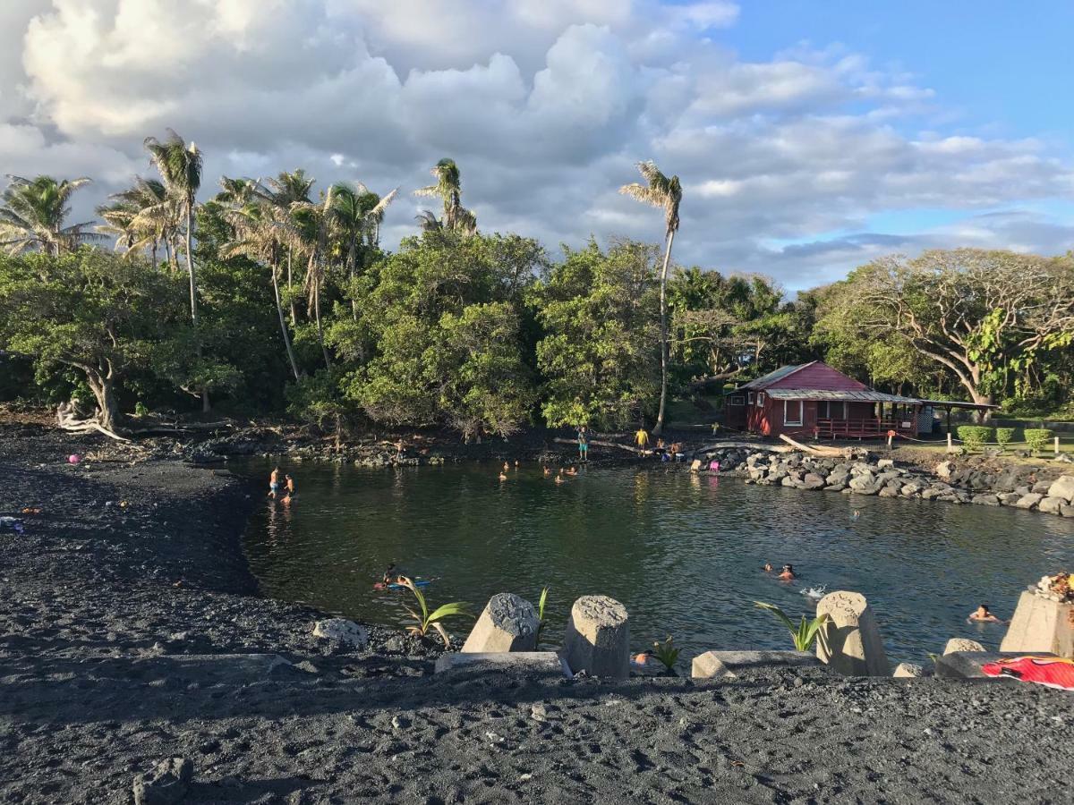 Coconut Palms Vacation Rental Near Lava Fields And Beaches Kehena Екстер'єр фото